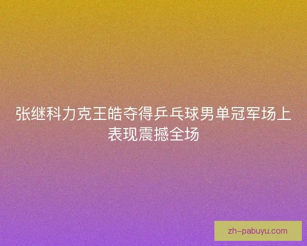 张继科力克王皓夺得乒乓球男单冠军场上表现震撼全场