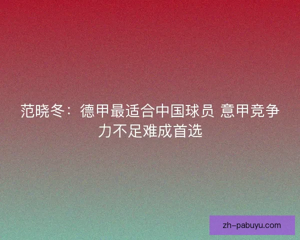 范晓冬：德甲最适合中国球员 意甲竞争力不足难成首选